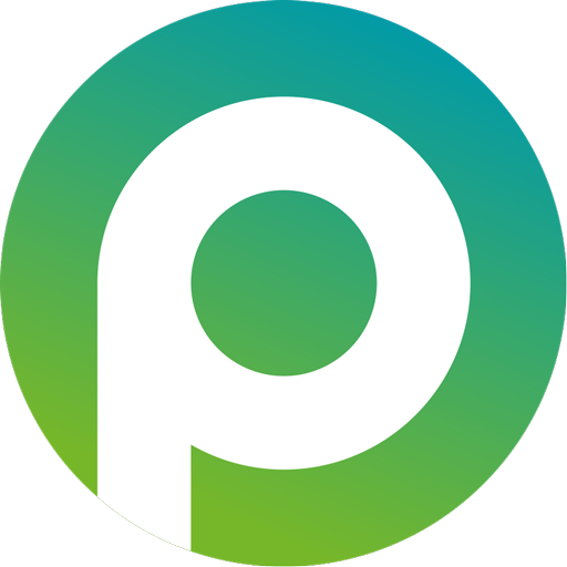 Payaz P