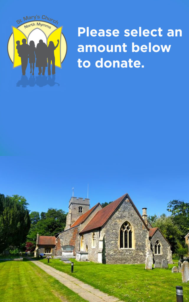 Thank you page example for donation screen